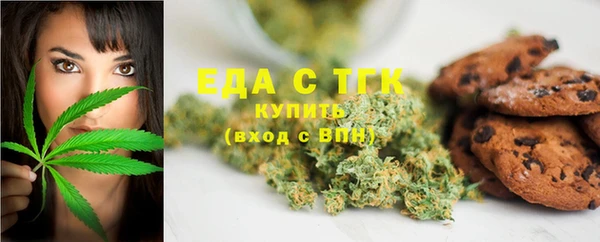 стаф Новозыбков
