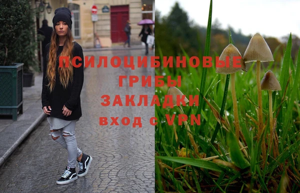 стаф Новозыбков