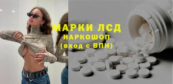 стаф Новозыбков