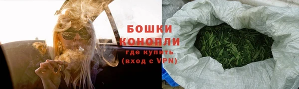стаф Новозыбков