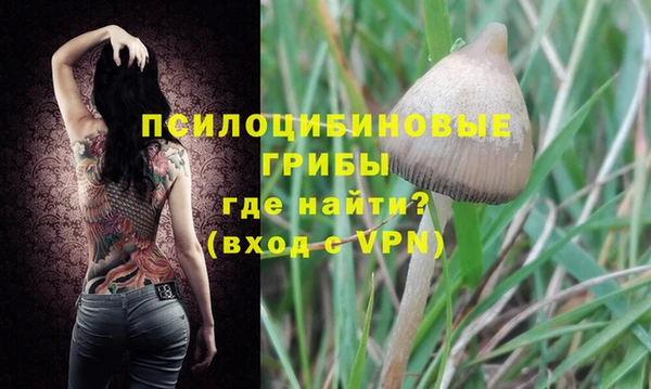 меф Новодвинск