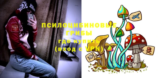 стаф Новозыбков