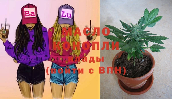 стаф Новозыбков