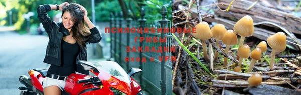 амф Белая Холуница