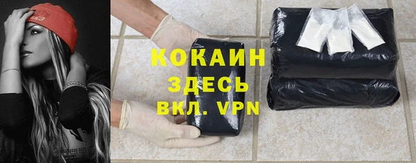 меф Новодвинск